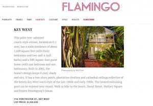 Flamingo Magazine