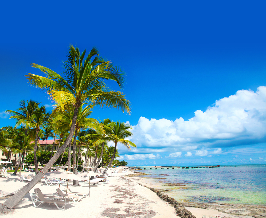 Key West Real Estate Grooms Real Estate